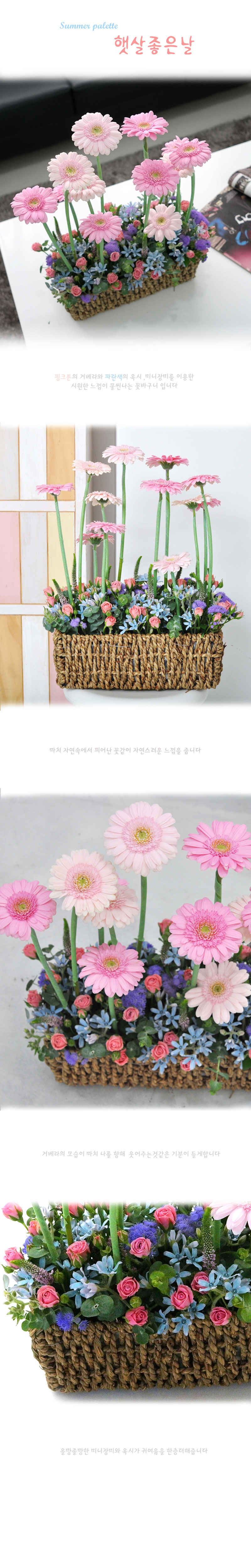 [] Summer palette- ޻   ɹ