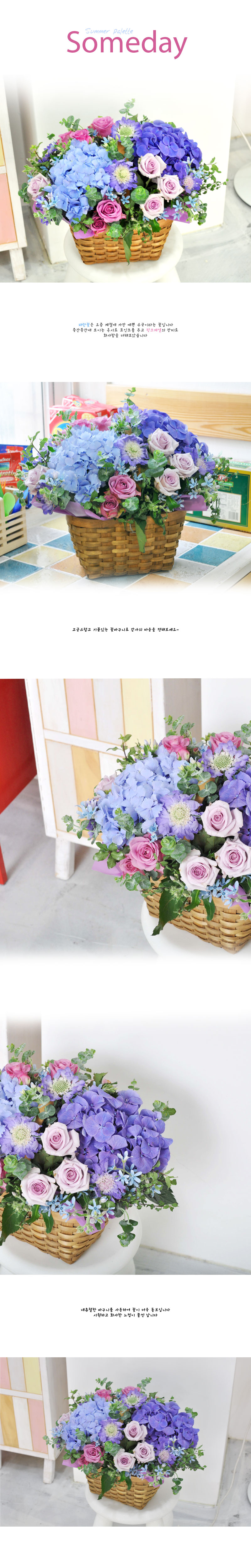 [] Summer palette- Someday  ɹ