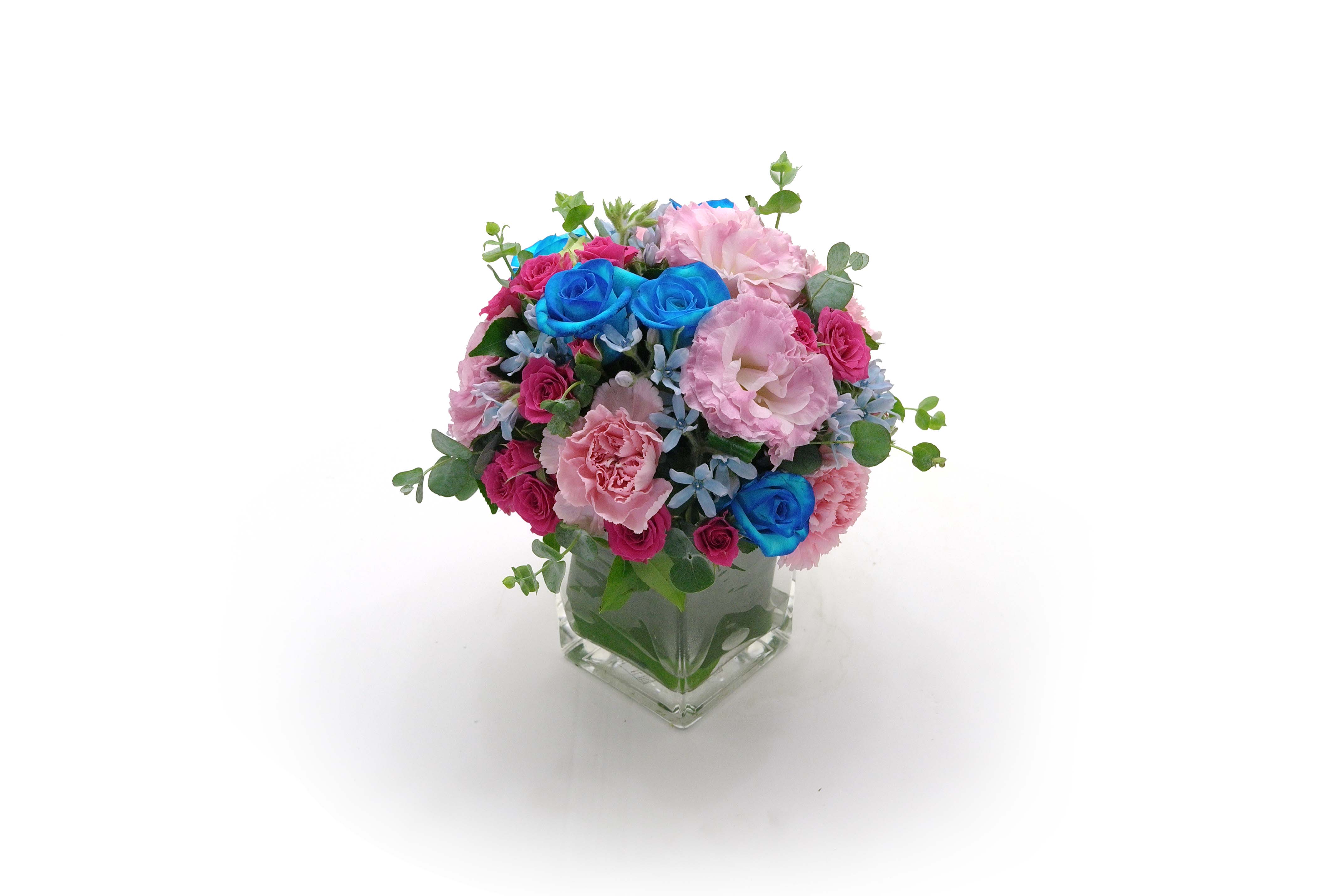 []Summer palette-  ״  ɹ