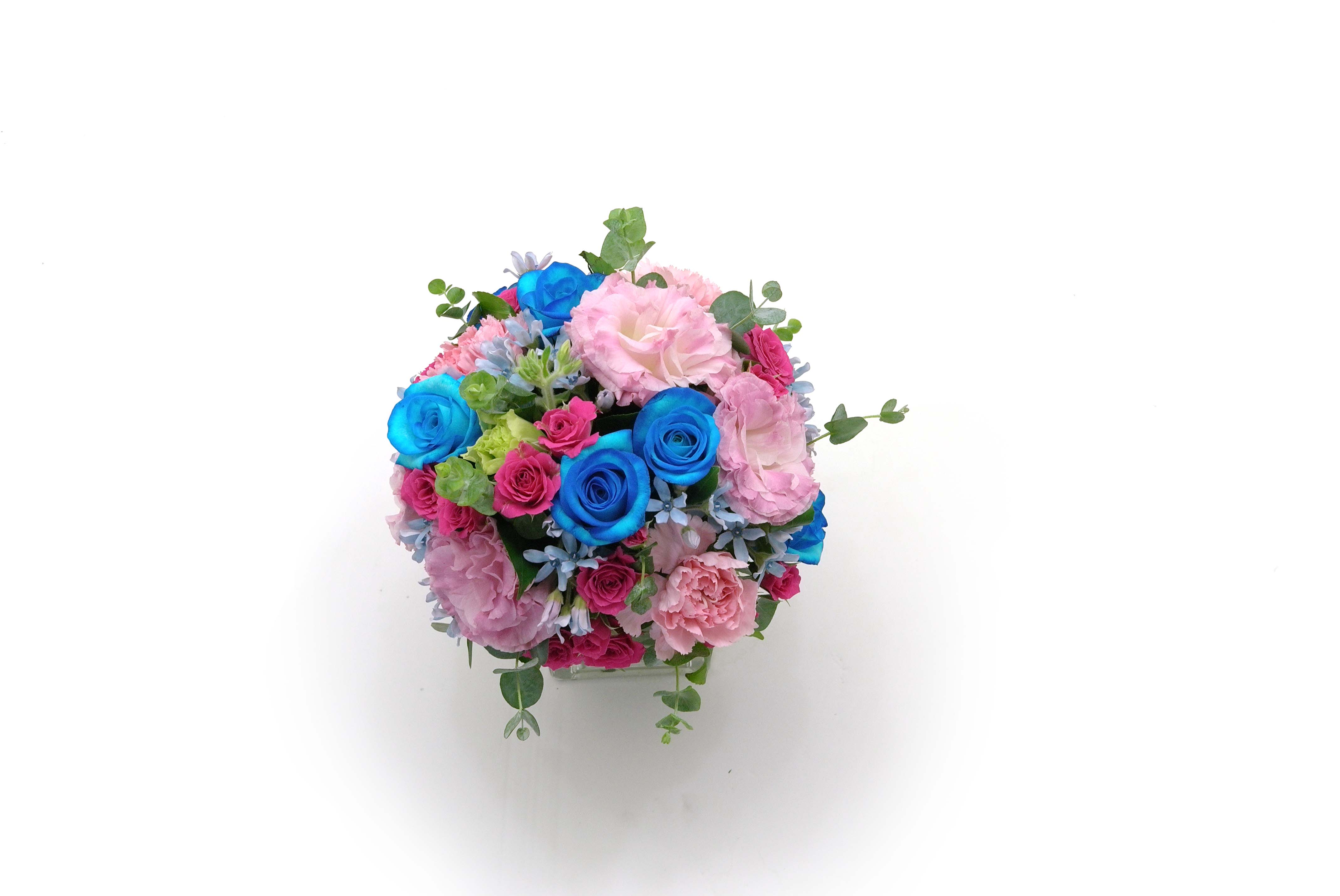 []Summer palette-  ״  ɹ