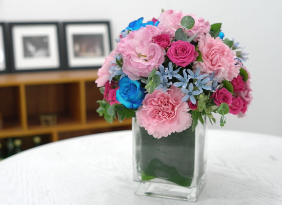 []Summer palette-  ״  ɹ