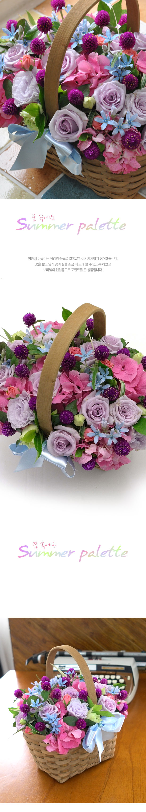 [] Summer palette-  ӿ  ɹ