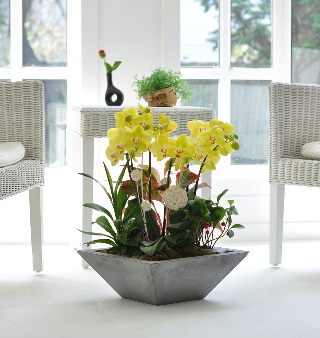 Áý¾ÈÀÇ ÀÛÀº Á¤¿ø - ³ë¶û È£Á¢¶õ (Áß)