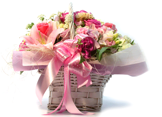 [] - milky way(ϼ)  ɹ