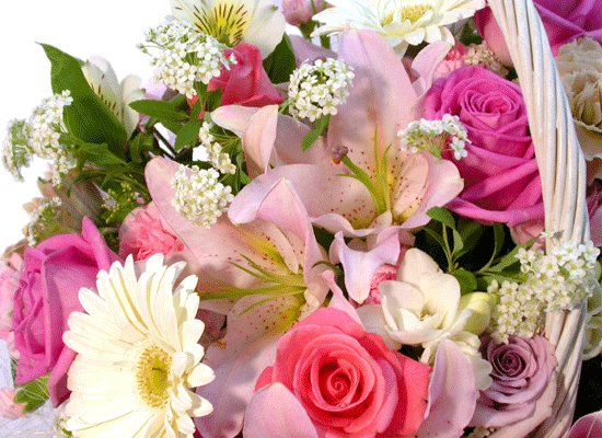 [] - milky way(ϼ)  ɹ