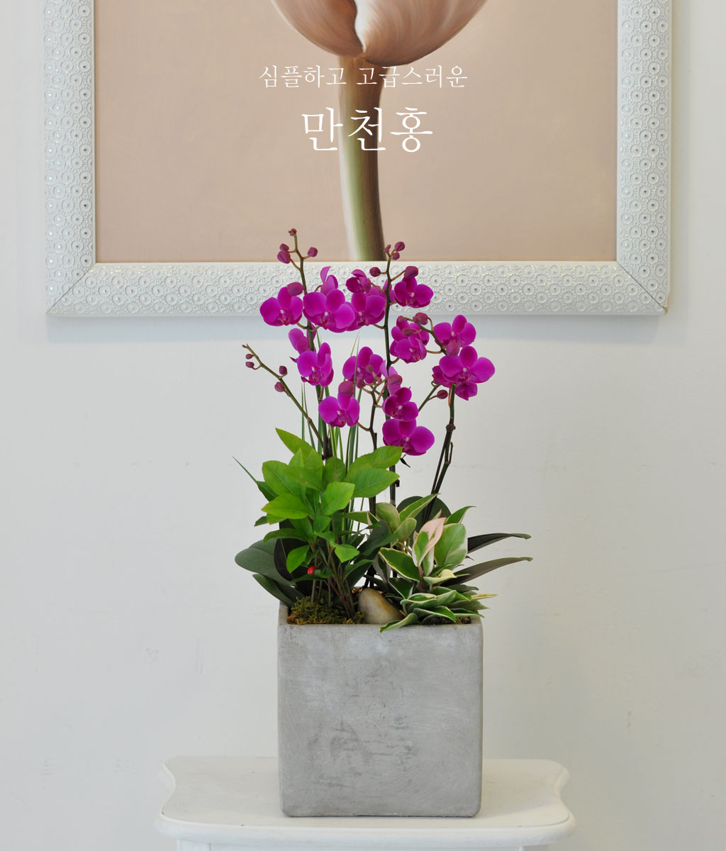 [] õȫ (߼) (ȭ⺯)  ɹ