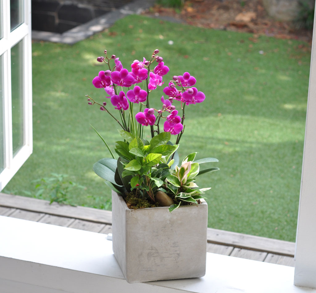 [] õȫ (߼) (ȭ⺯)  ɹ