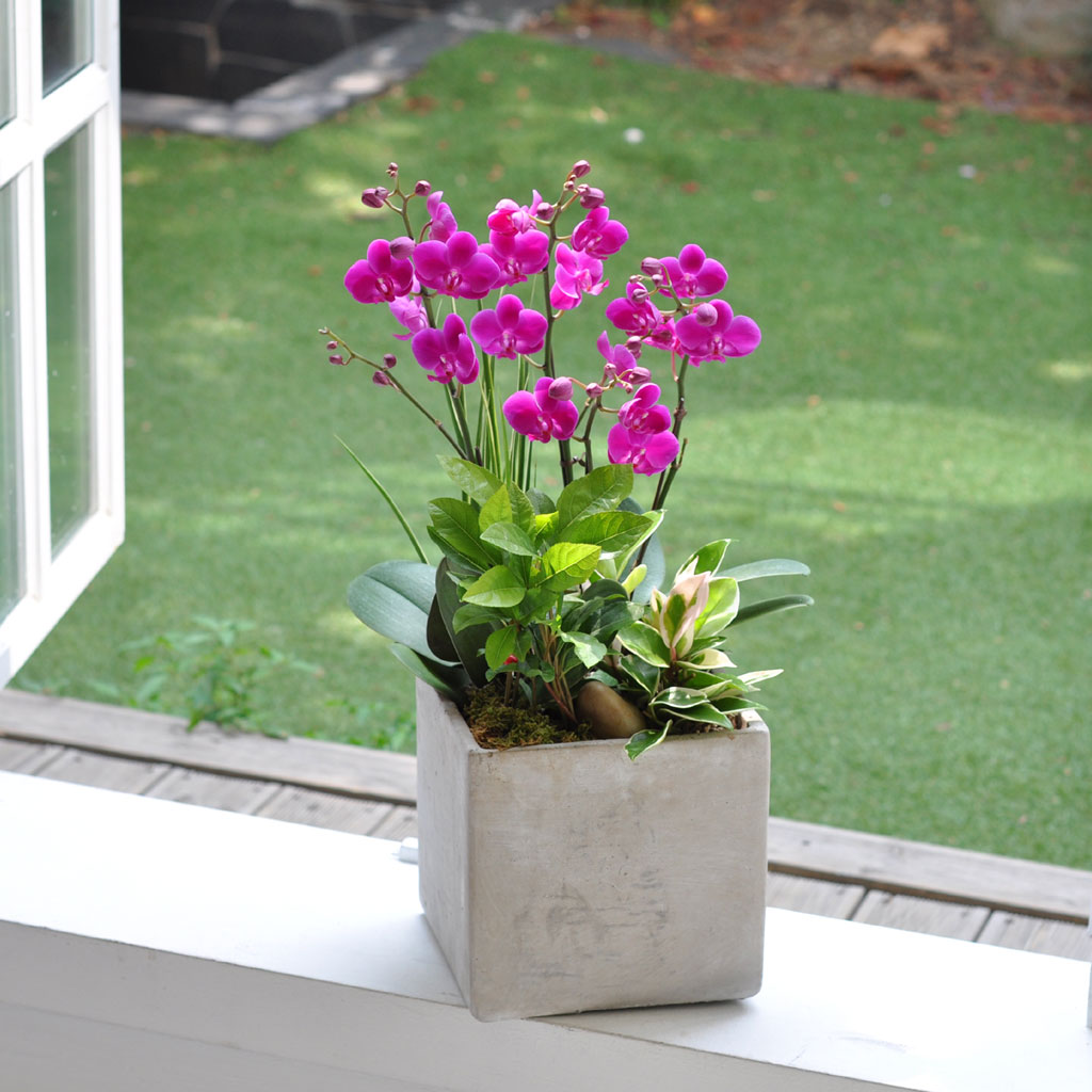 [] õȫ (߼) (ȭ⺯)  ɹ