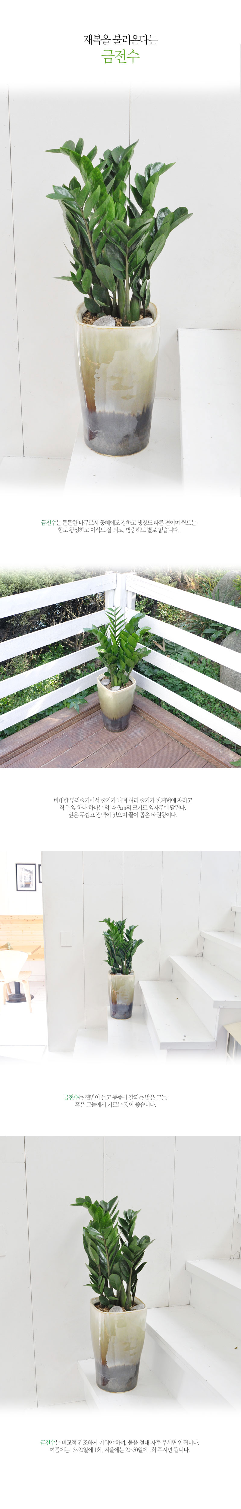 纹 ҷ´ٴ  (ȭ )  ɹ