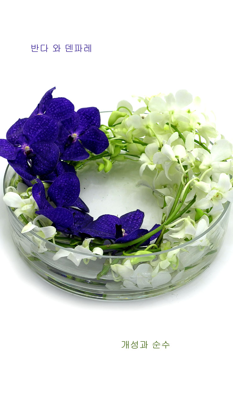 [������] �ɰ��Բ� - Purple vanda