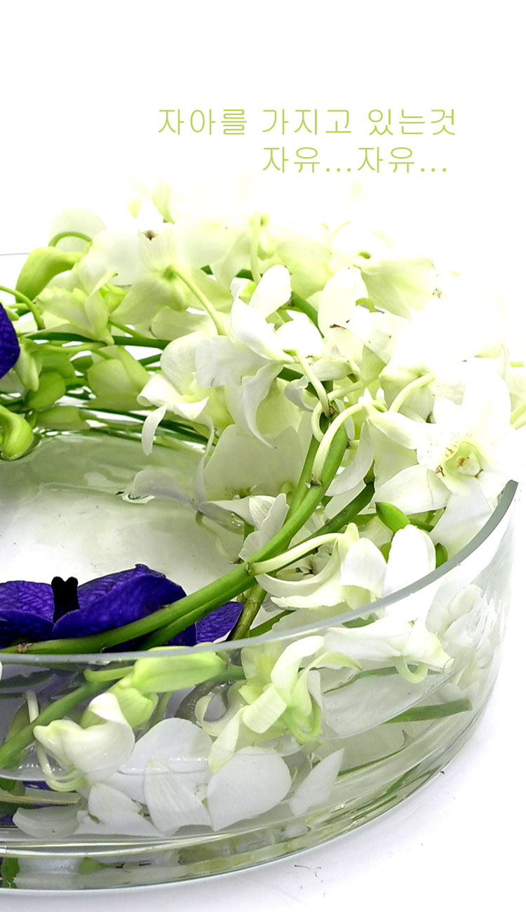 [������] �ɰ��Բ� - Purple vanda