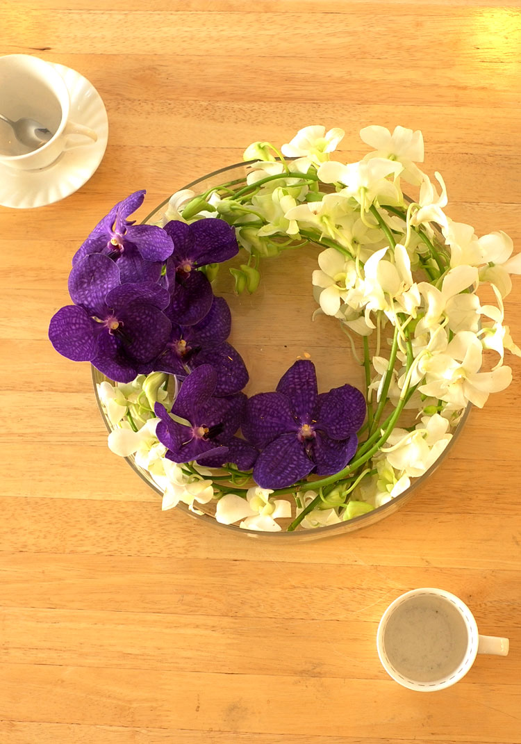 [������] �ɰ��Բ� - Purple vanda