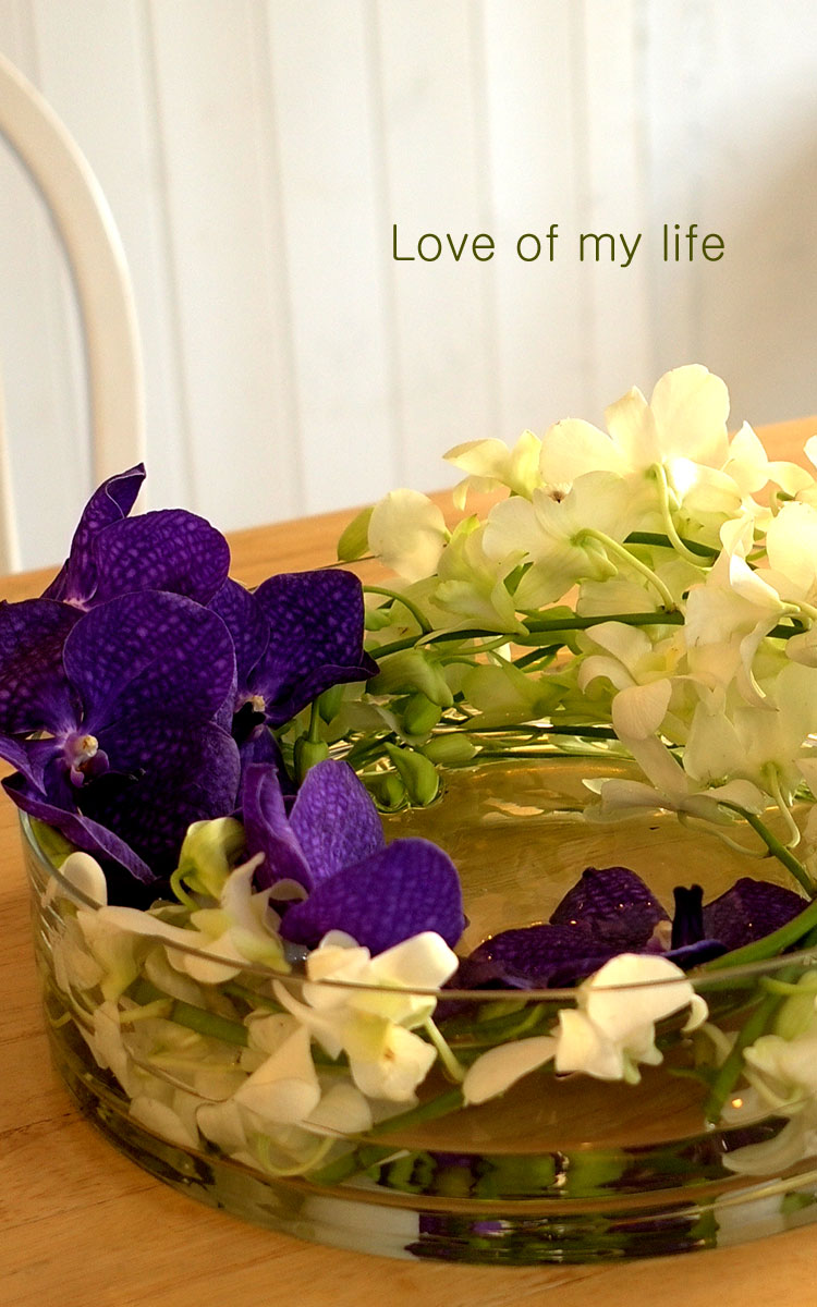 [������] �ɰ��Բ� - Purple vanda