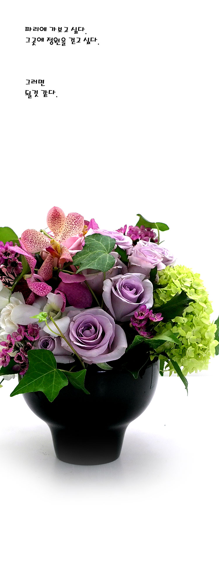 [] ɰԲ - Pink generation  ɹ