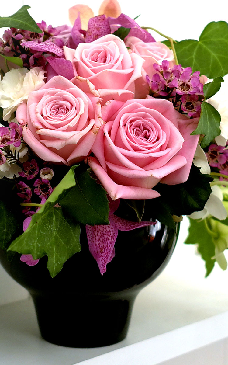 [] ɰԲ - Pink generation  ɹ