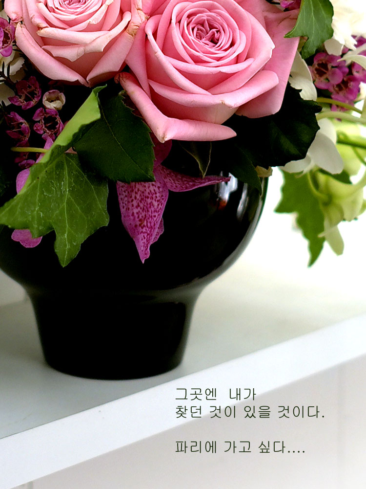 [] ɰԲ - Pink generation  ɹ