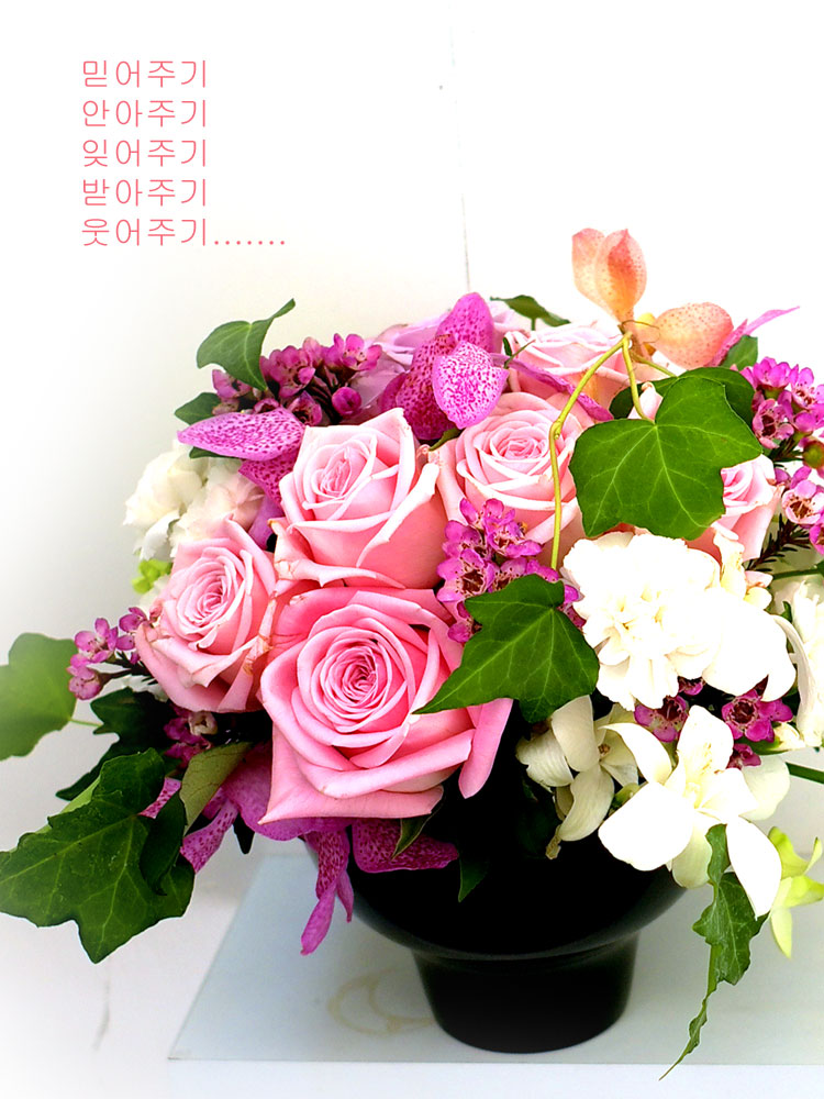 [] ɰԲ - Pink generation  ɹ