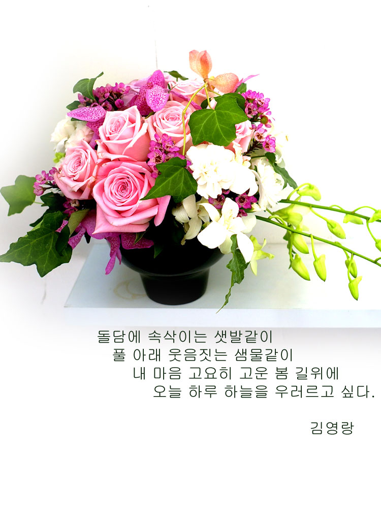 [] ɰԲ - Pink generation  ɹ