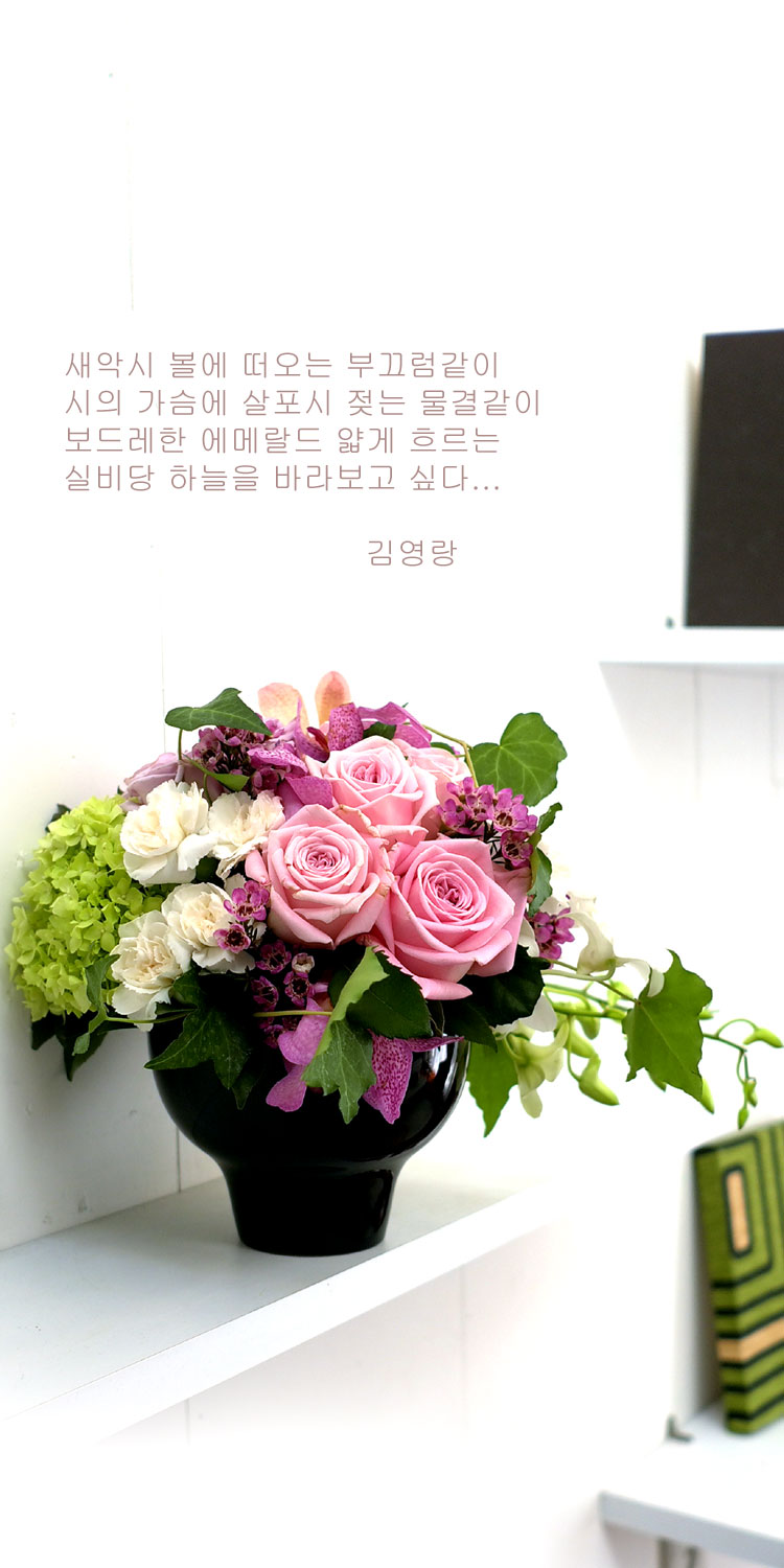 [] ɰԲ - Pink generation  ɹ