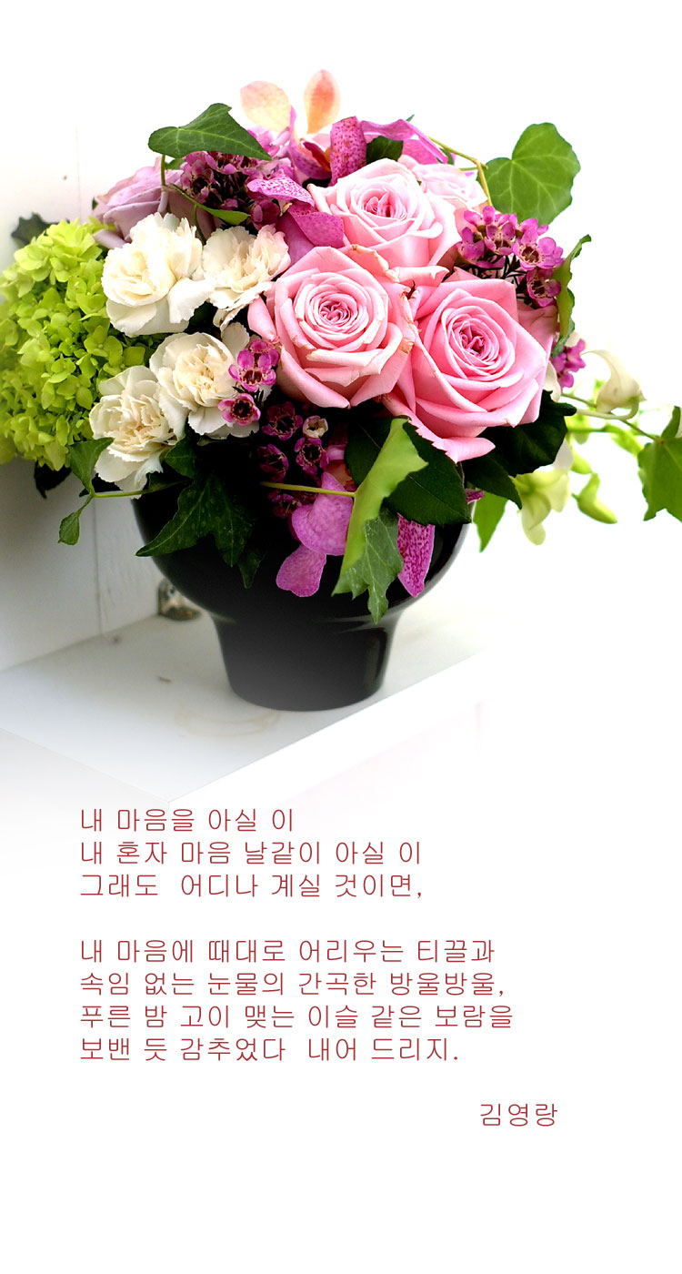 [] ɰԲ - Pink generation  ɹ