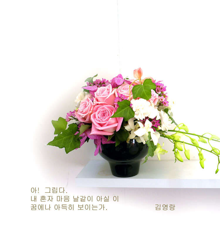 [] ɰԲ - Pink generation  ɹ