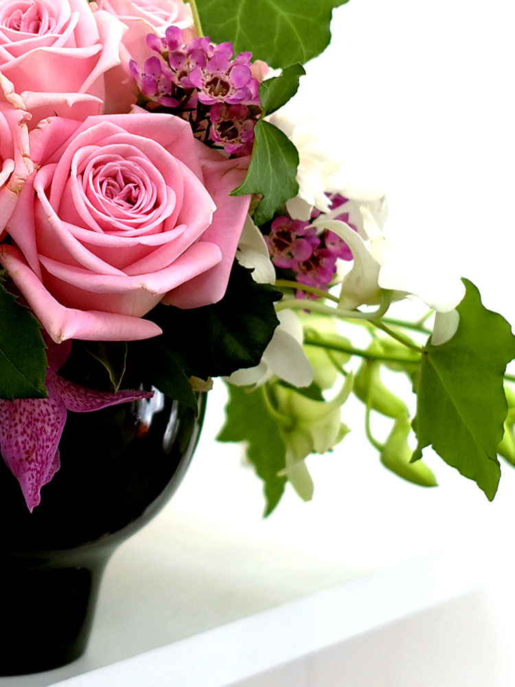 [] ɰԲ - Pink generation  ɹ