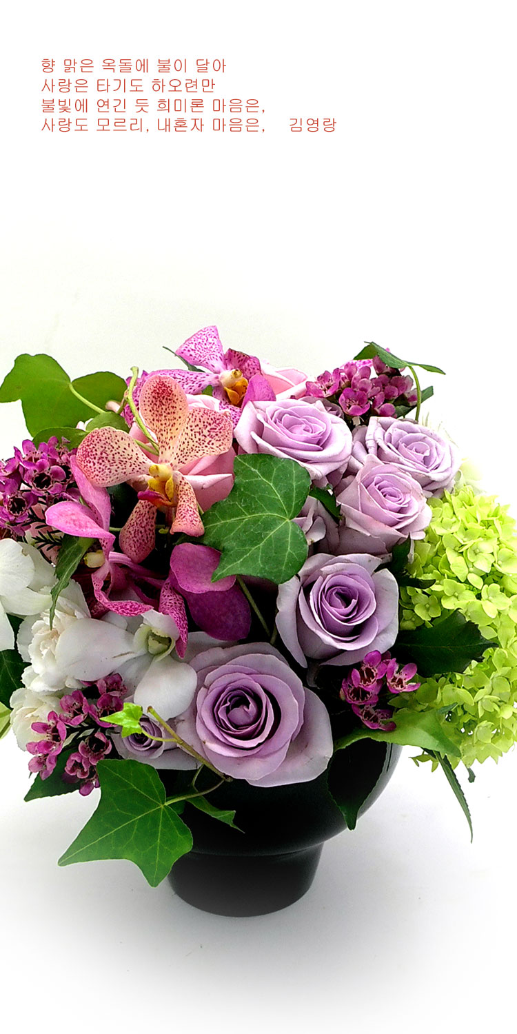 [] ɰԲ - Pink generation  ɹ