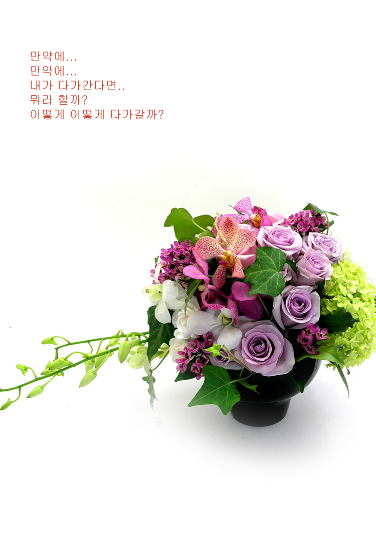 [] ɰԲ - Pink generation  ɹ