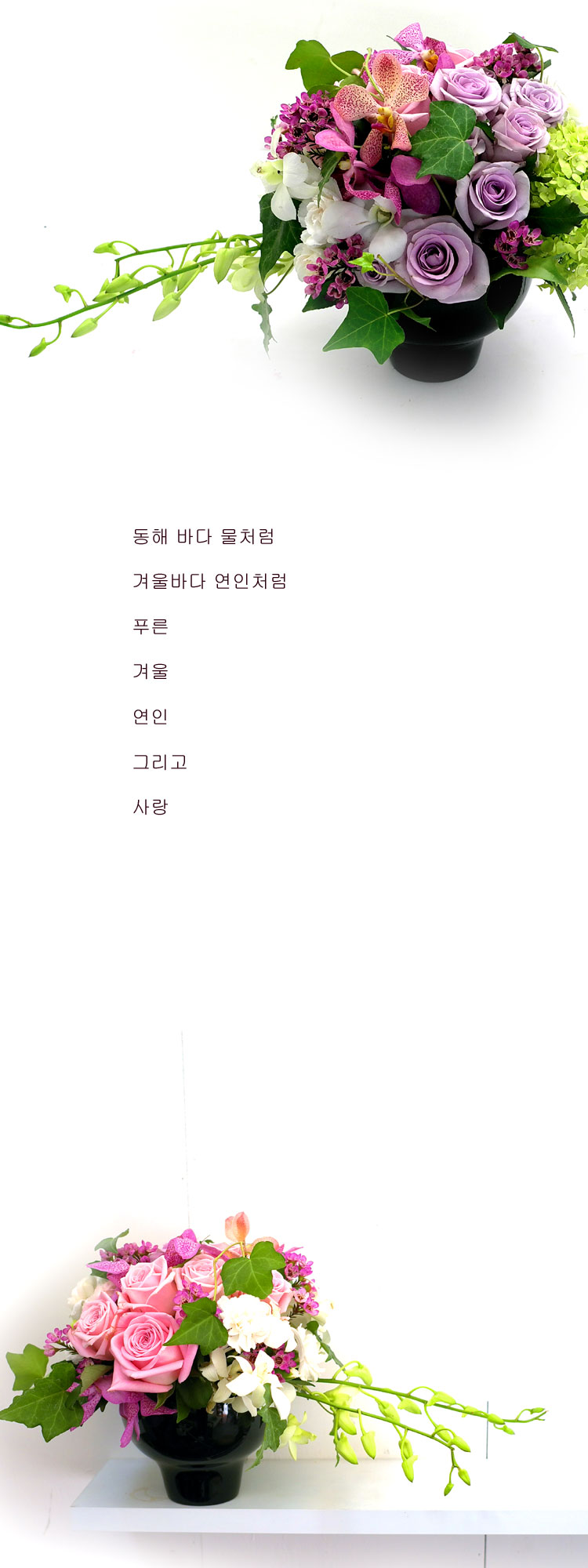 [] ɰԲ - Pink generation  ɹ