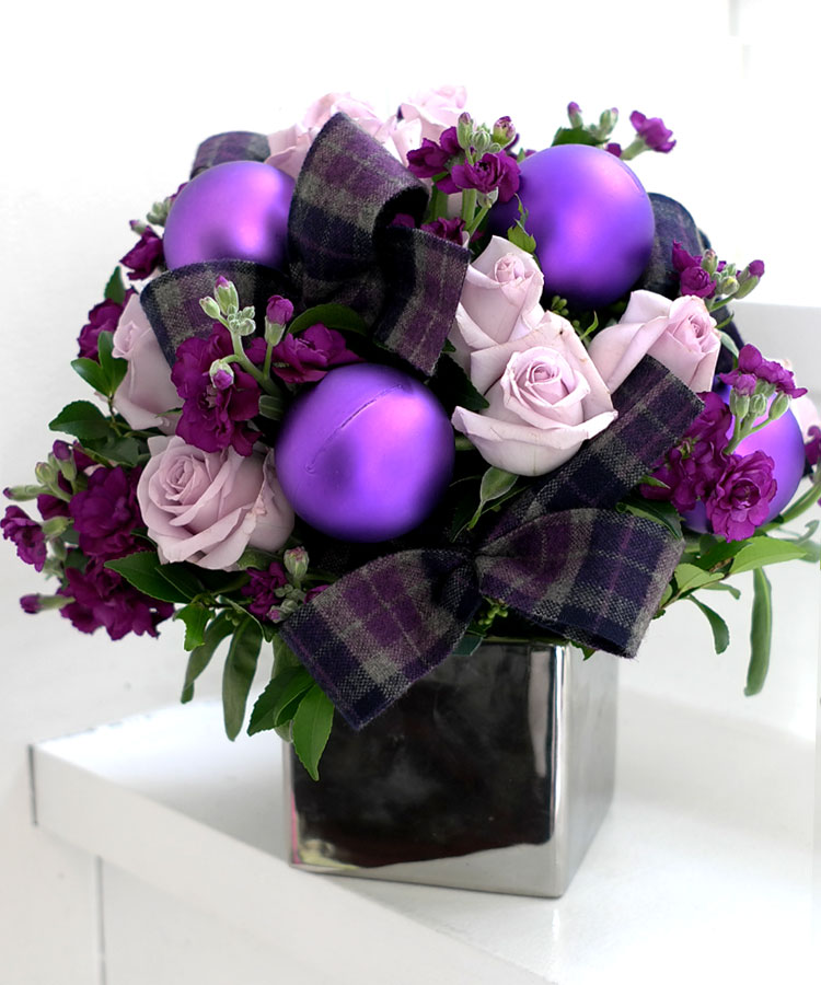 [] ũ - Joy to the world  ɹ