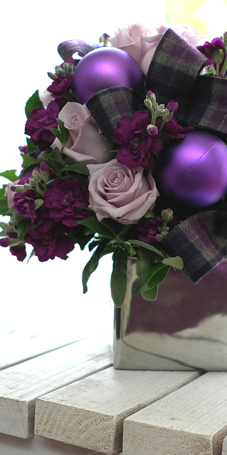 [] ũ - Joy to the world  ɹ