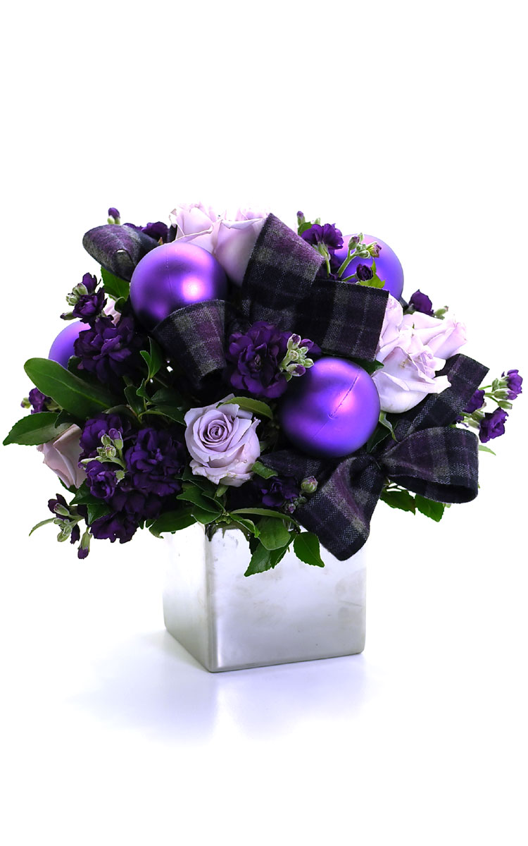 [] ũ - Joy to the world  ɹ