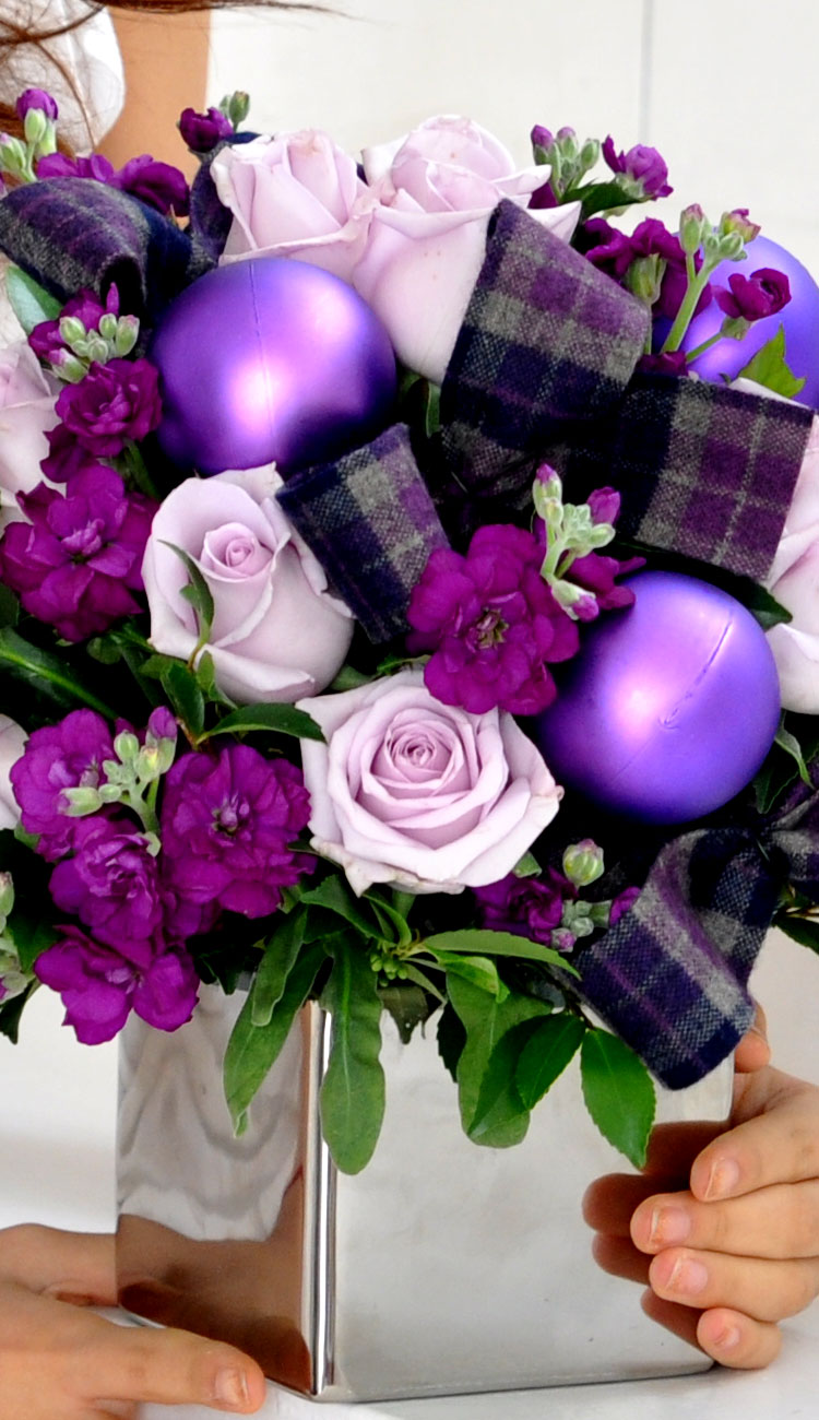 [] ũ - Joy to the world  ɹ