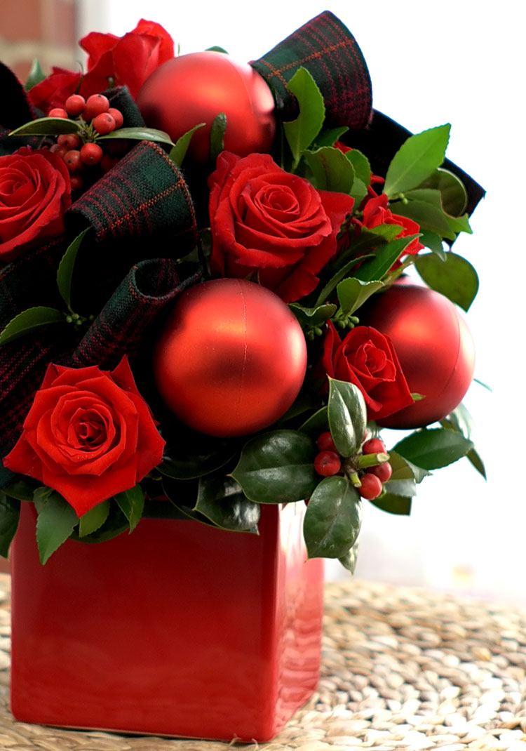 [] ũ - All I want for