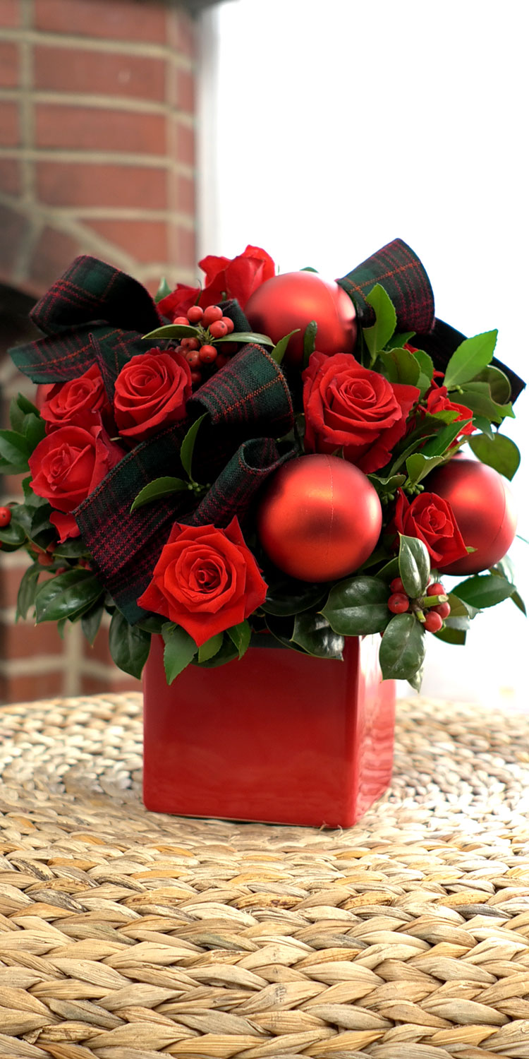 [] ũ - All I want for