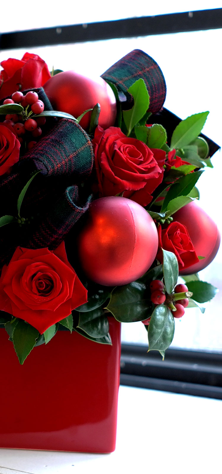 [] ũ - All I want for