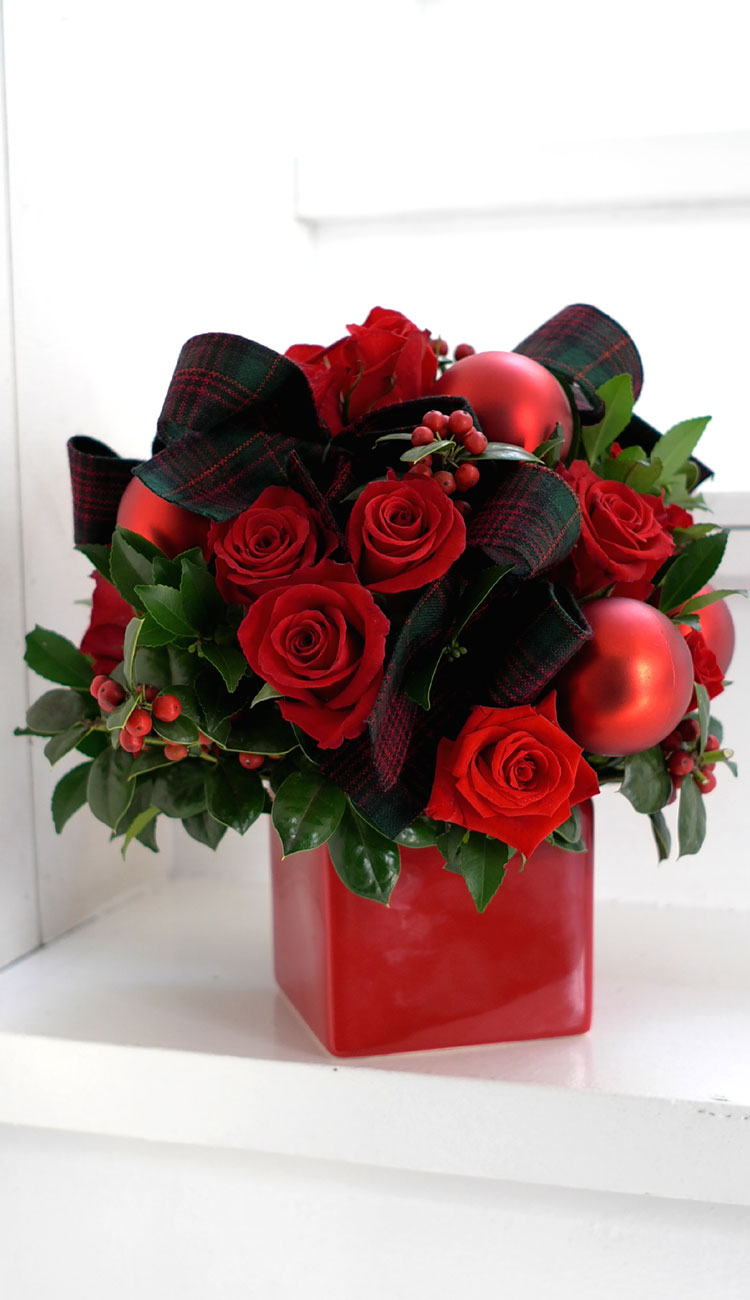 [] ũ - All I want for