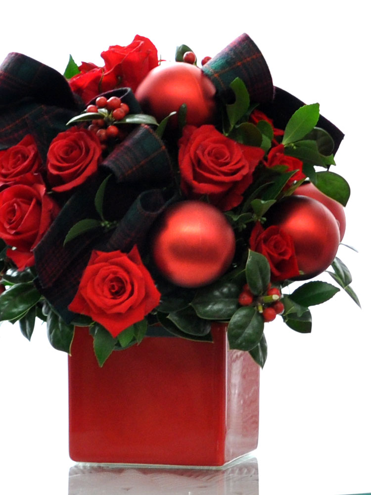 [] ũ - All I want for