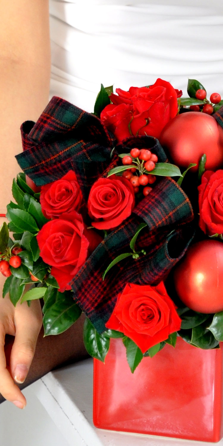 [] ũ - All I want for