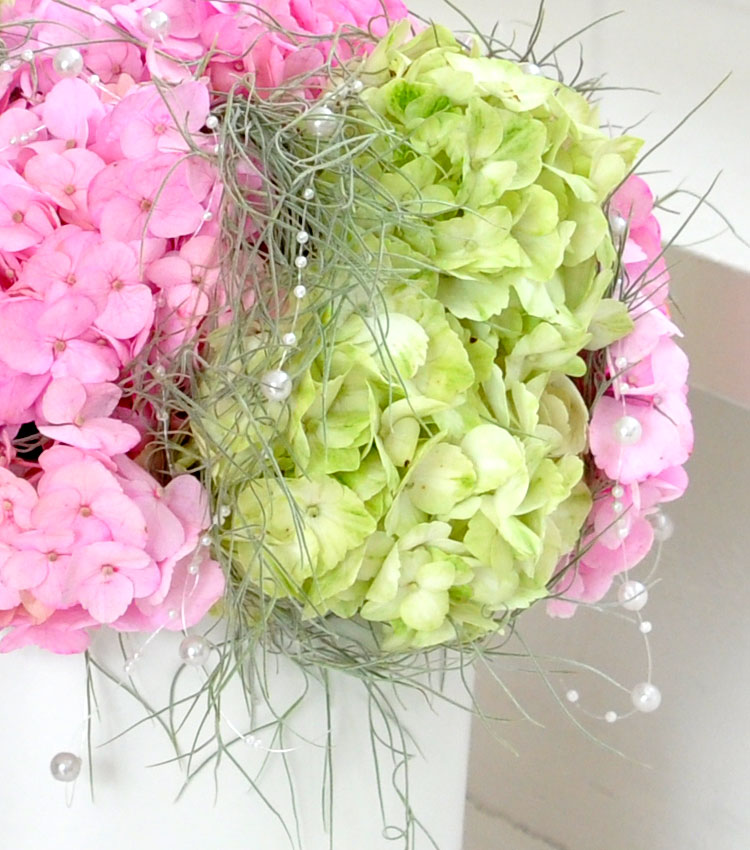 []ũ -Happy hour  ɹ