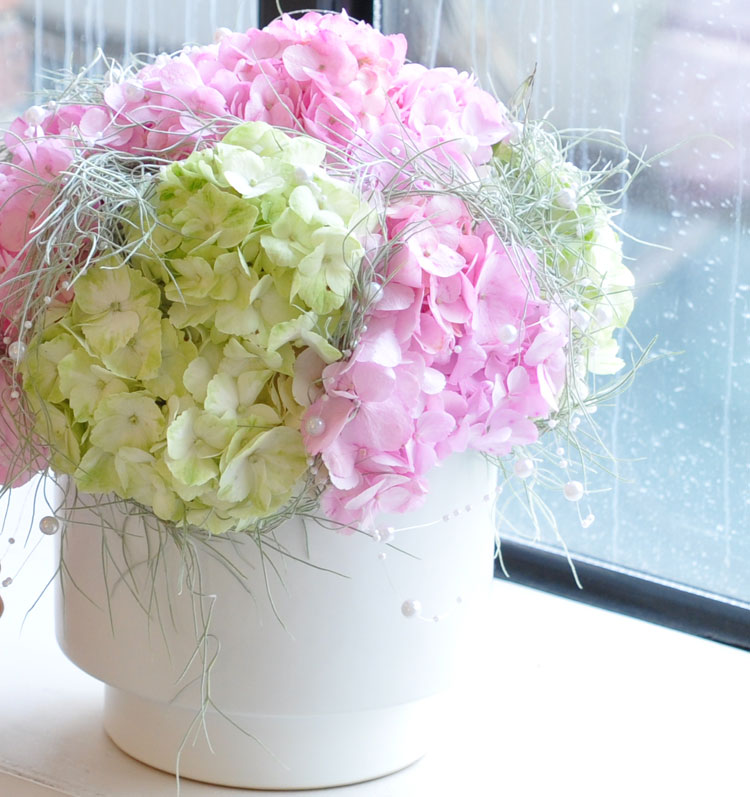 []ũ -Happy hour  ɹ