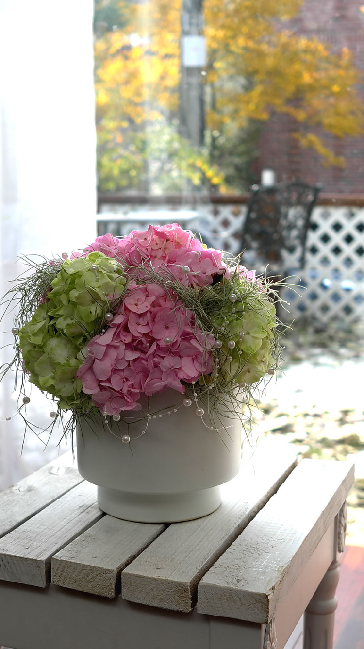 []ũ -Happy hour  ɹ