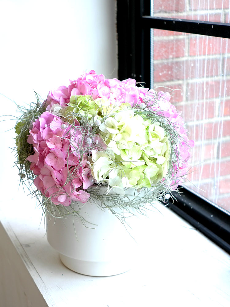 []ũ -Happy hour  ɹ