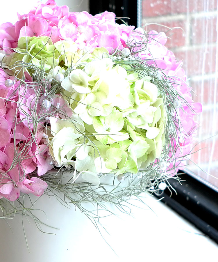 []ũ -Happy hour  ɹ