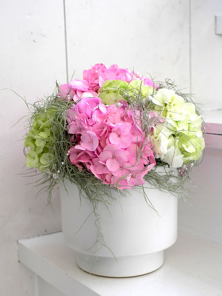 []ũ -Happy hour  ɹ