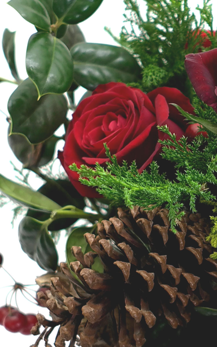 []ũ -magic christmas  ɹ