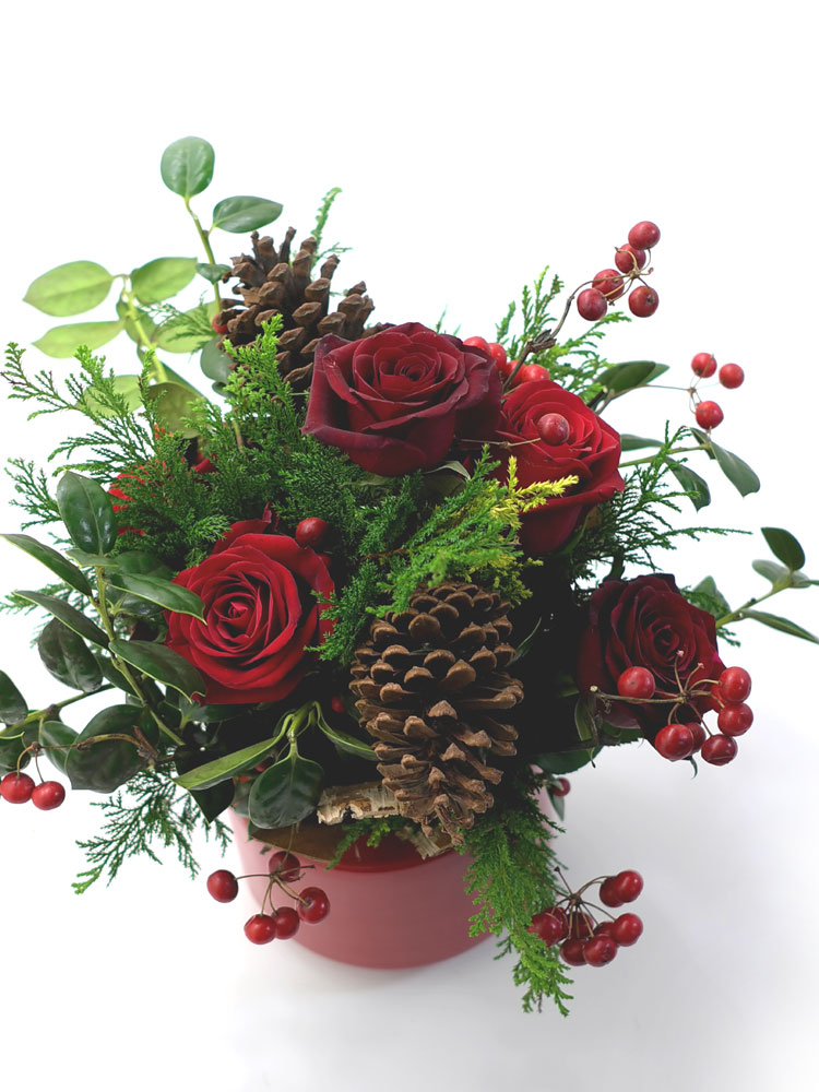 []ũ -magic christmas  ɹ