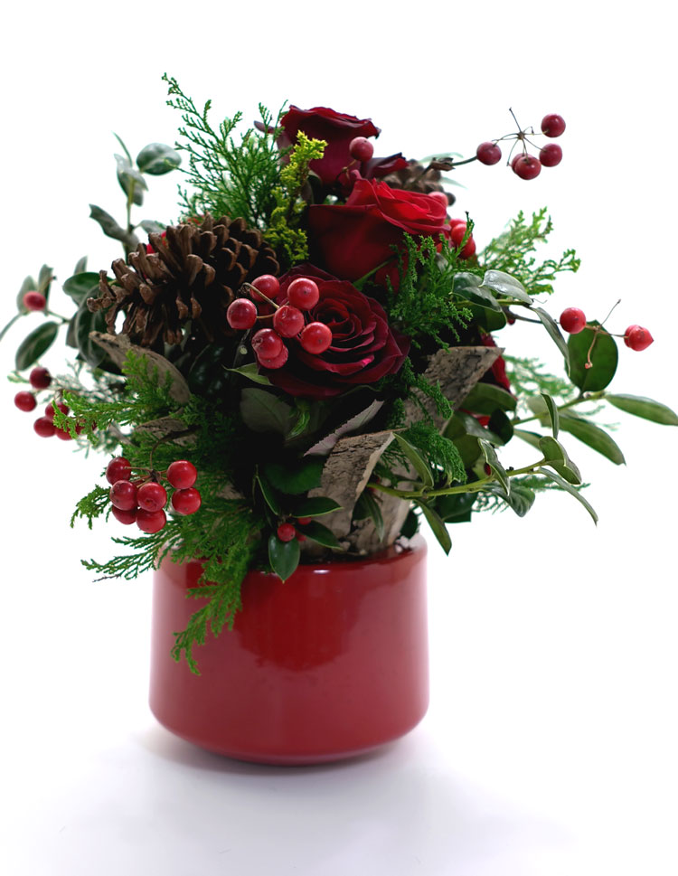 []ũ -magic christmas  ɹ