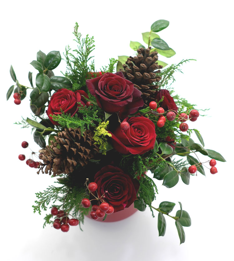 []ũ -magic christmas  ɹ