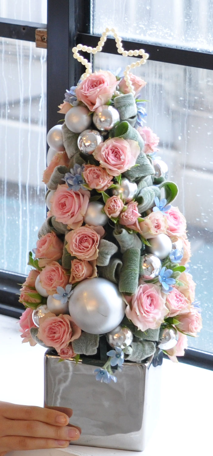 [￹]ũ -Jolly holly  ɹ